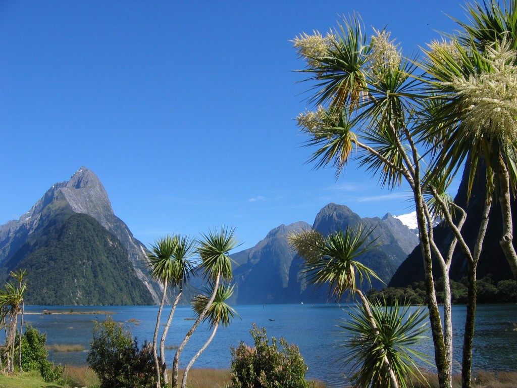The Best of North and South Island in New Zealand in a 15 Day Tour